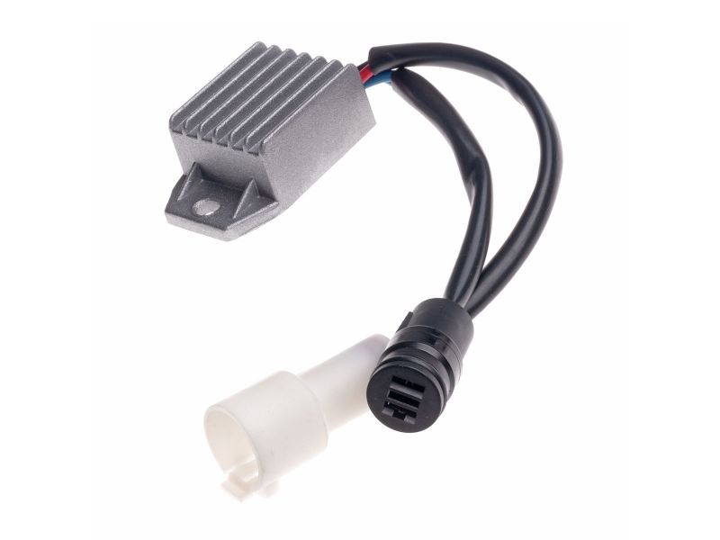 Bilde av AVR spenningsregulator PM1000iS